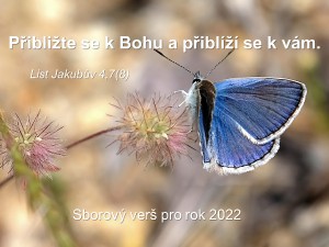 sbor_v_2022.jpg